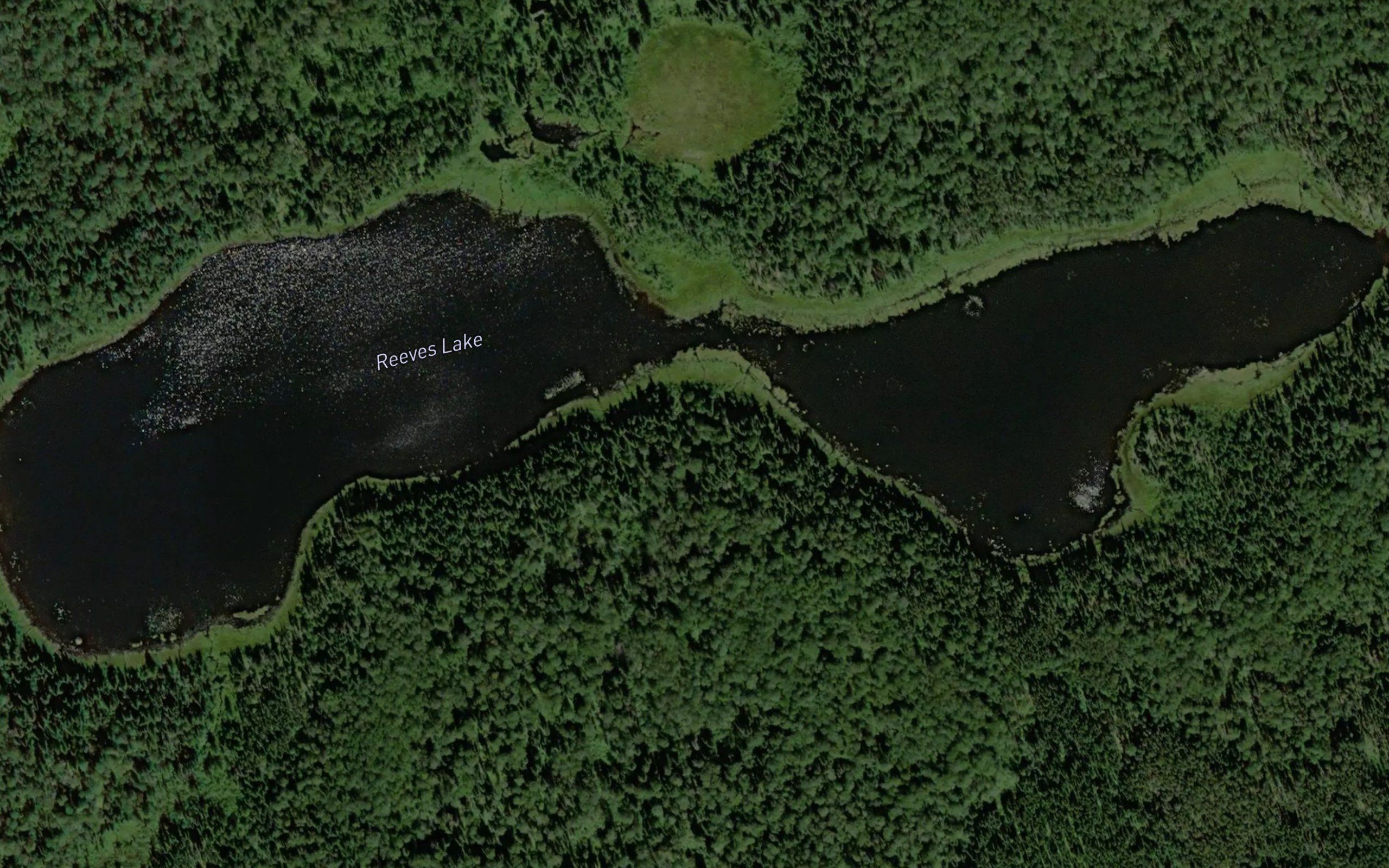 Reeves Lake