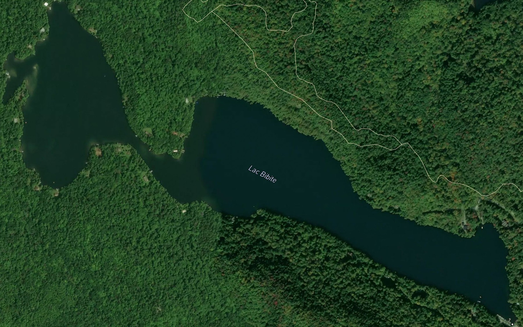 Satellite map of the Lac Bibite