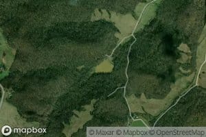 Honey Locust Lake