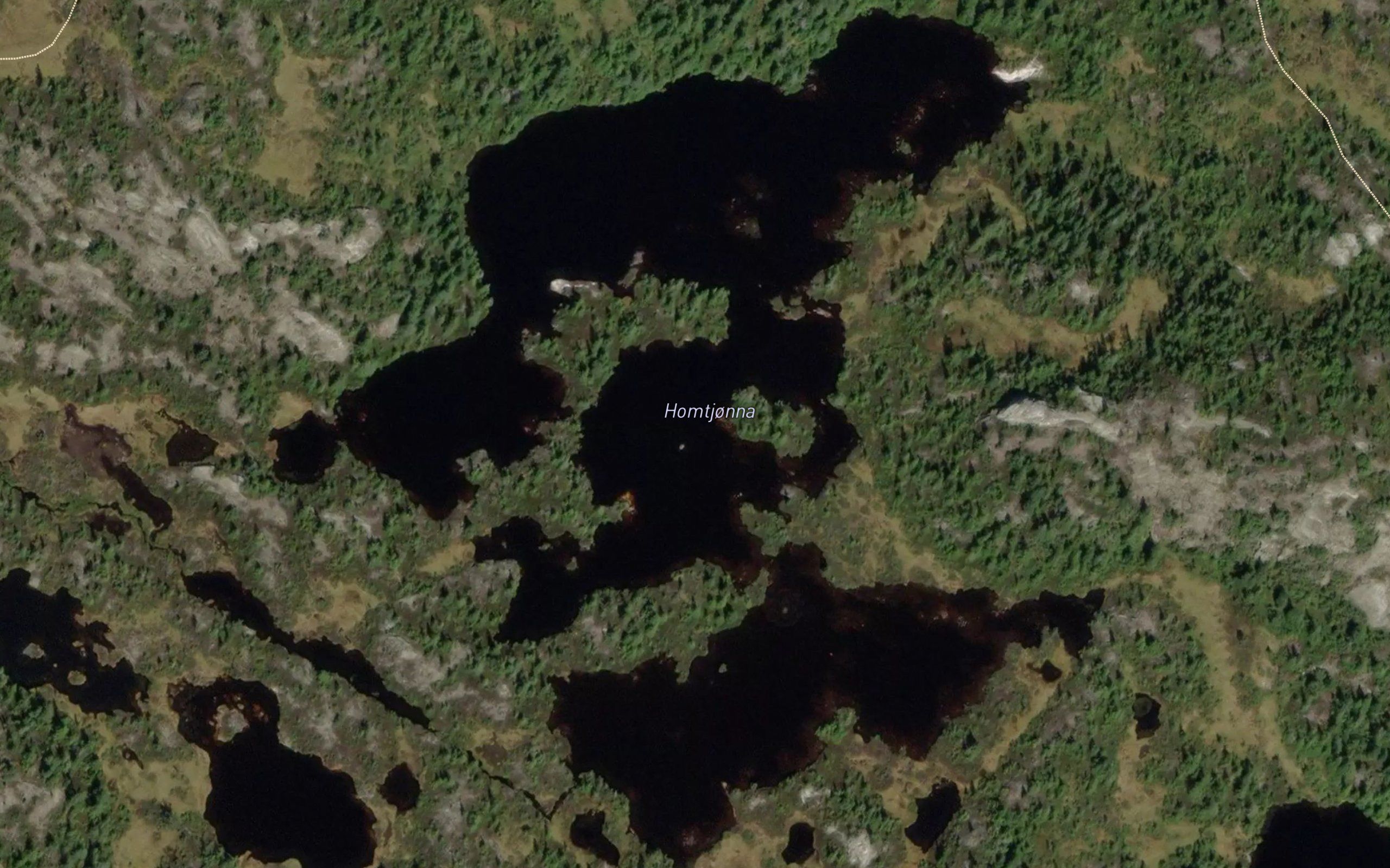 Homtjonna