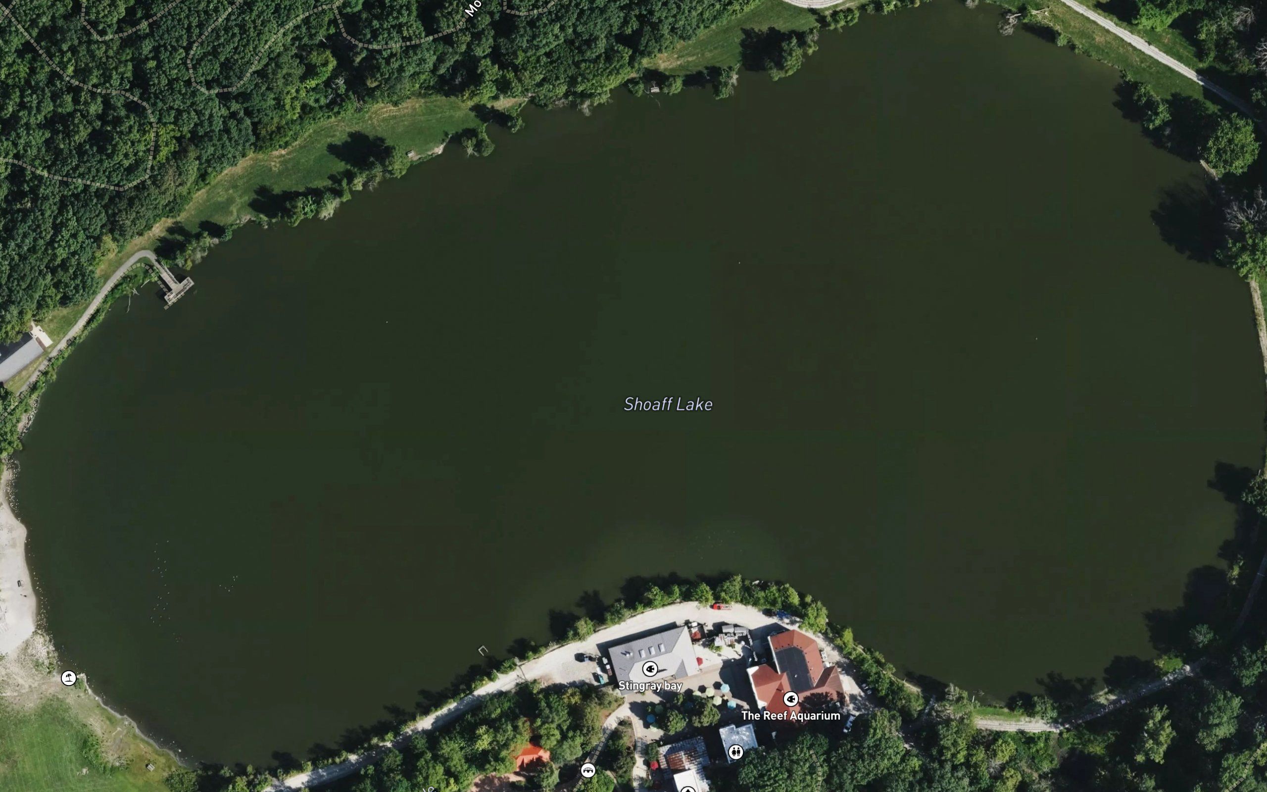 Shoaff Lake