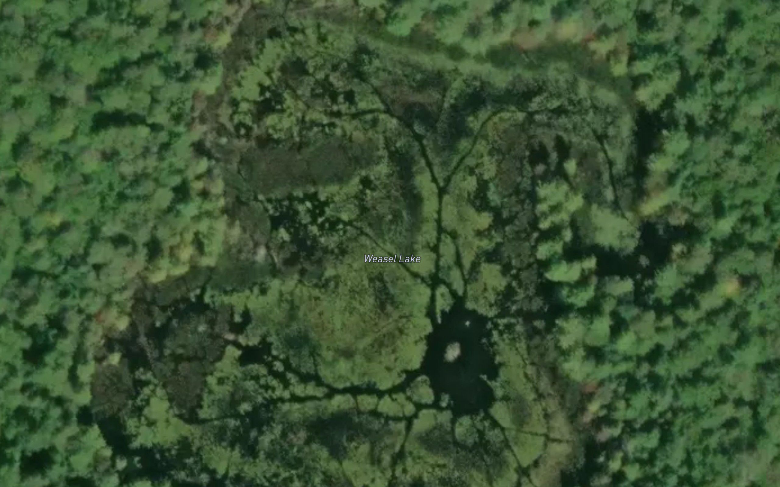 Weasel Lake