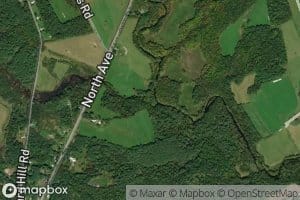 West Branch Cold Brook