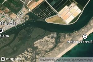 Ribeiro da Almeiranta