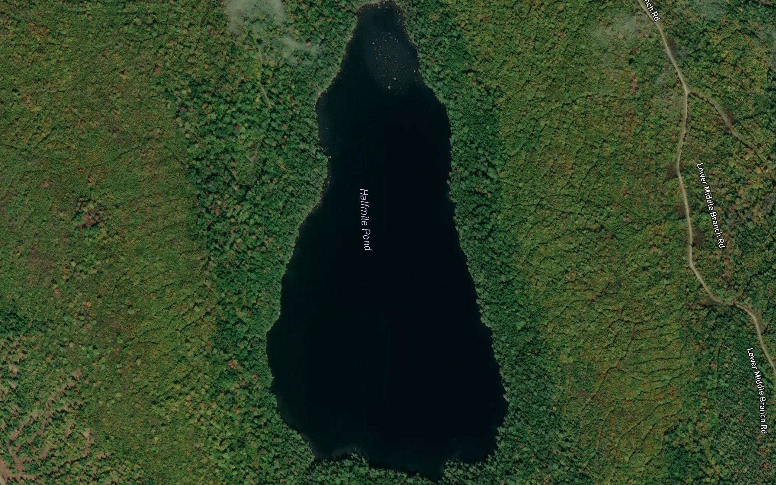 Halfmile Pond