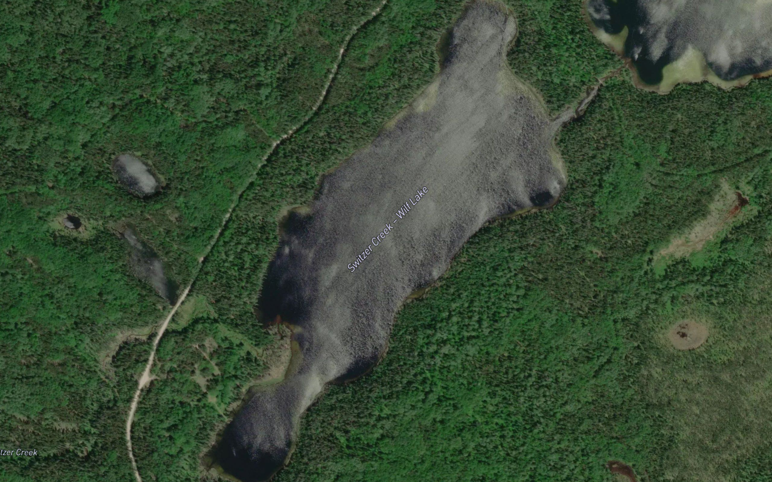 Wilf Lake