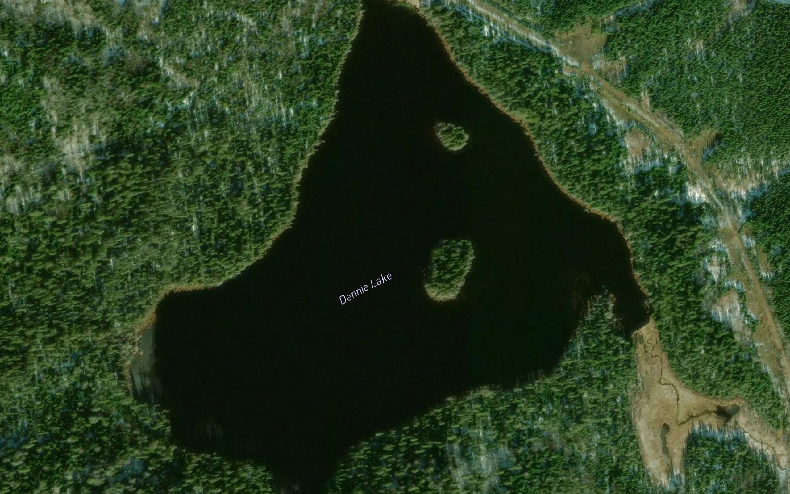 Dennie Lake