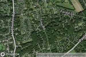 Northeast Branch Ridley Creek