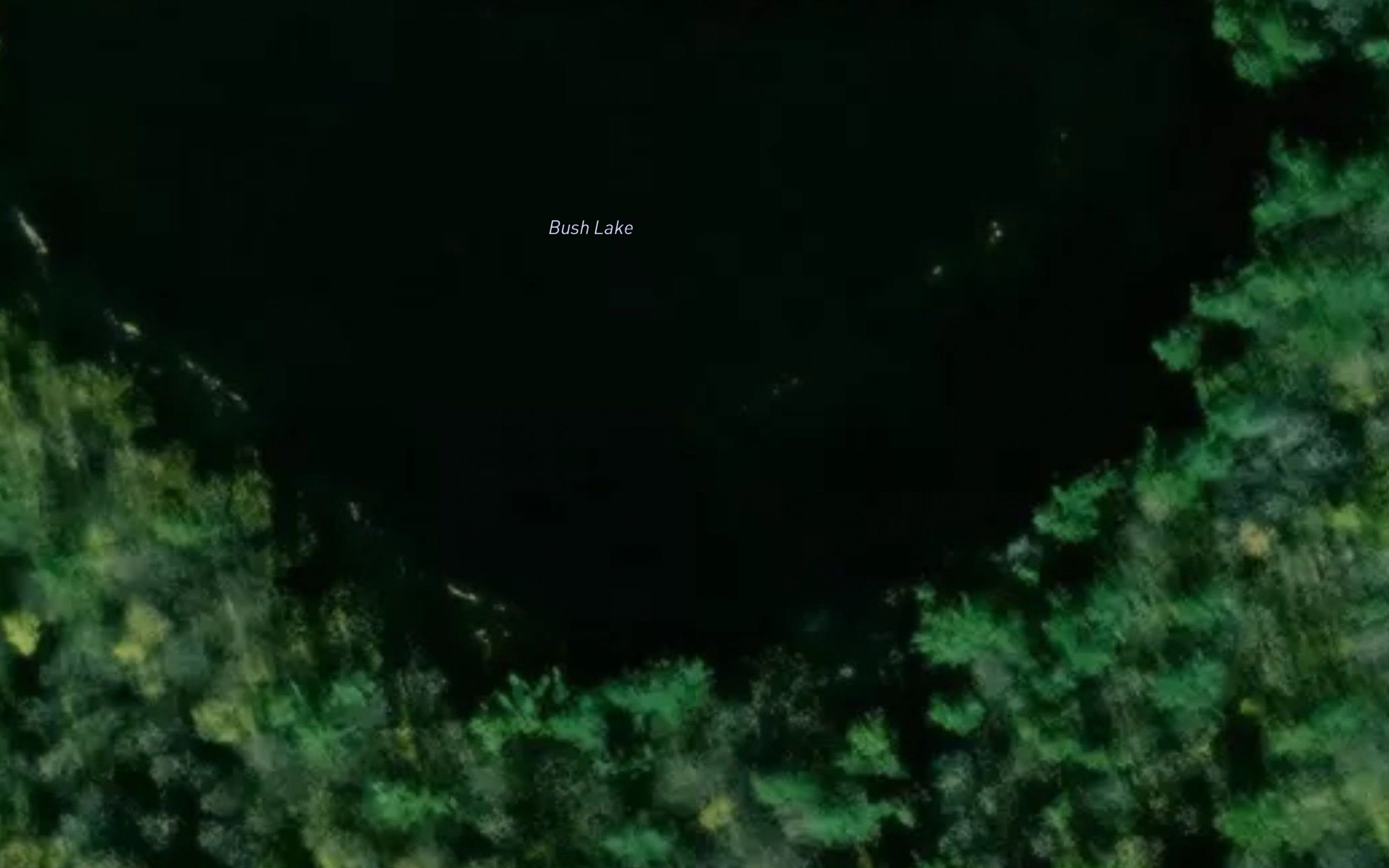 Bush Lake