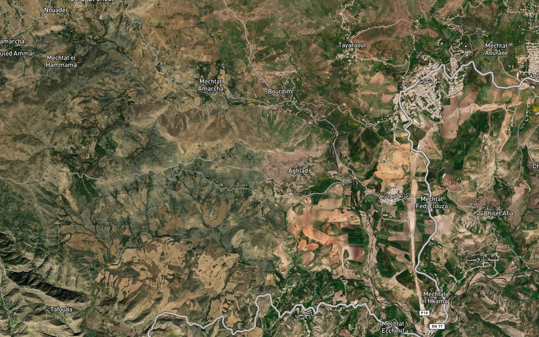 Satellite map of the 'Ain Zibane