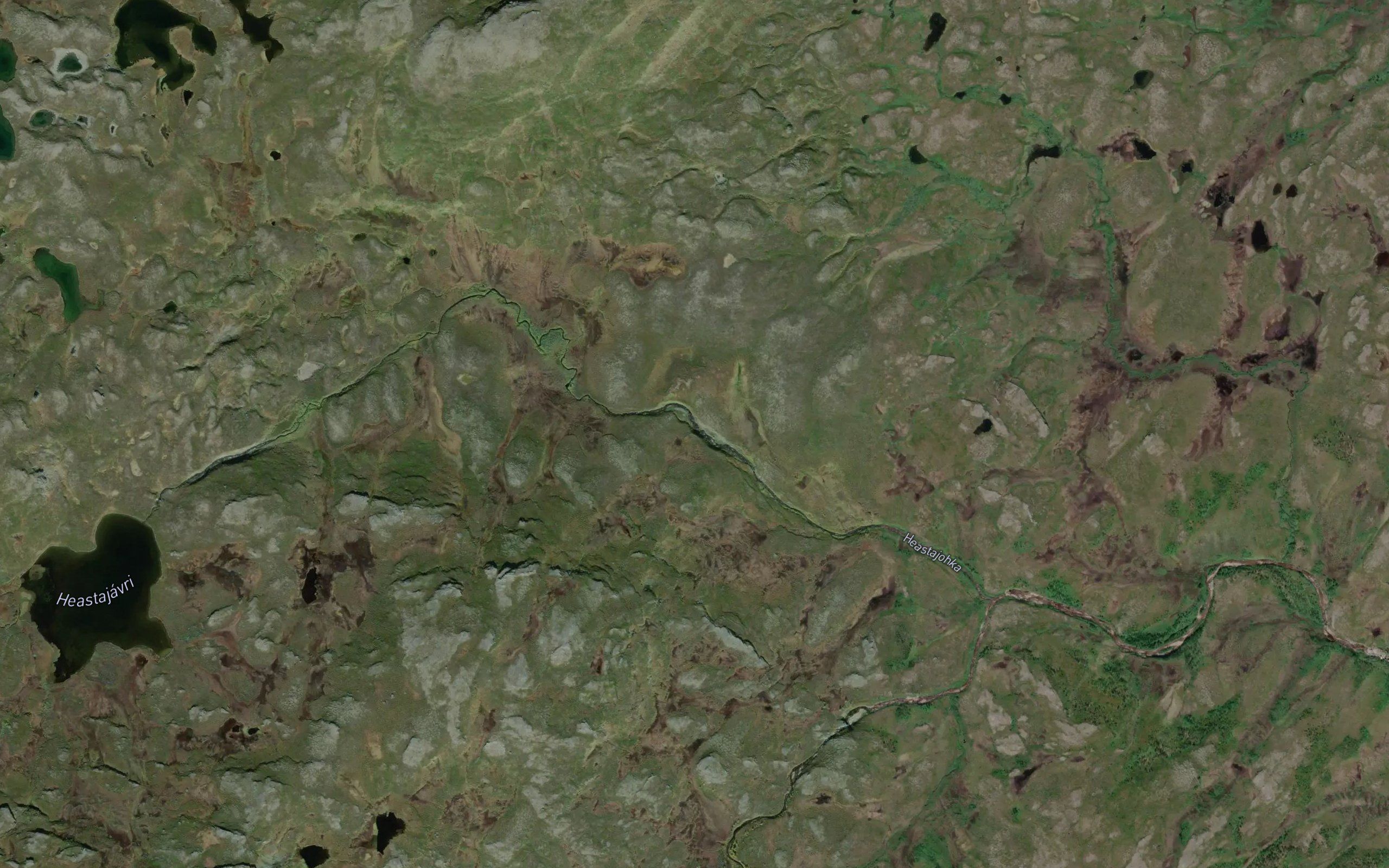 Haestajakka