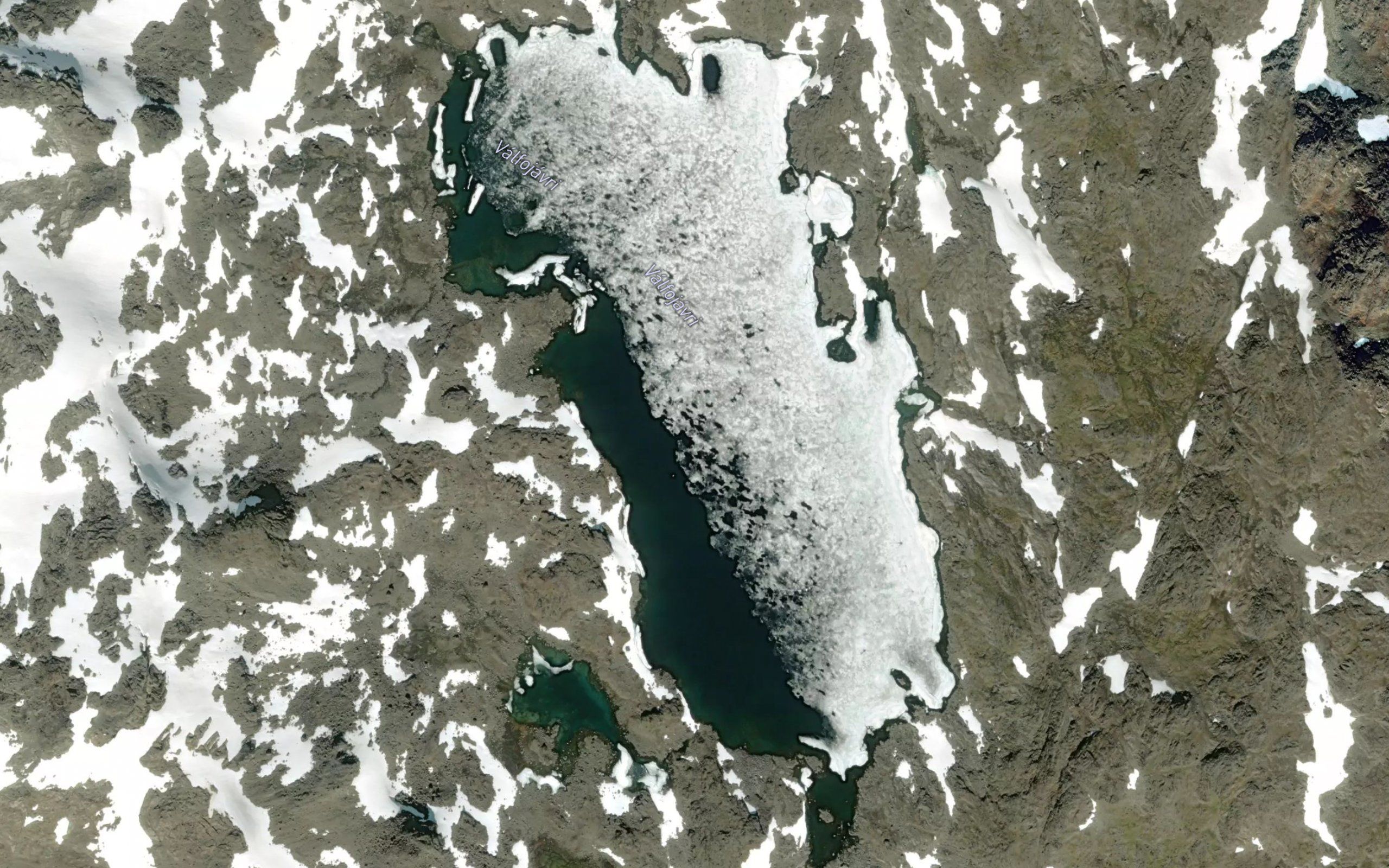 Valfojavri