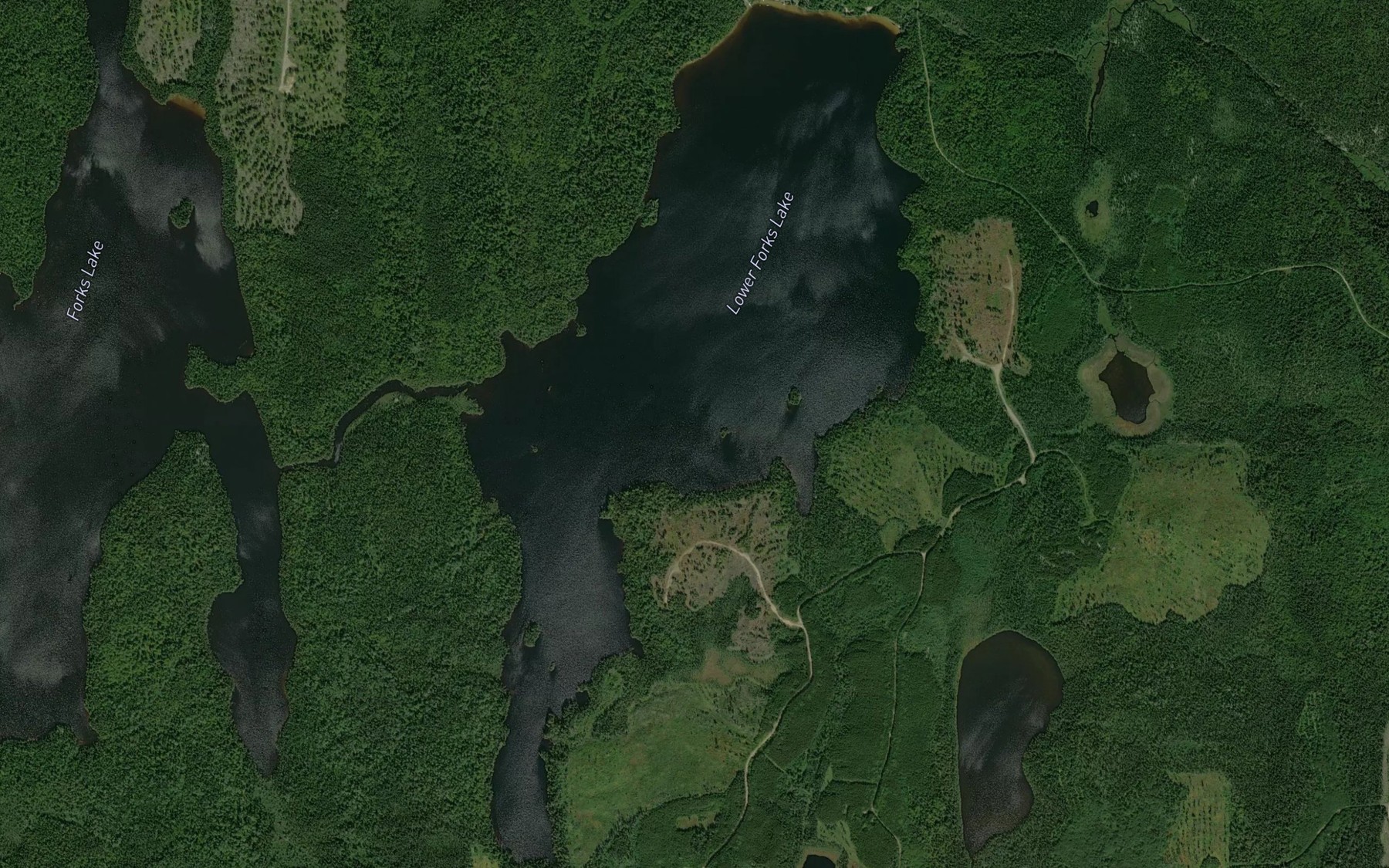 Satellite map of the Lower Forks Lake