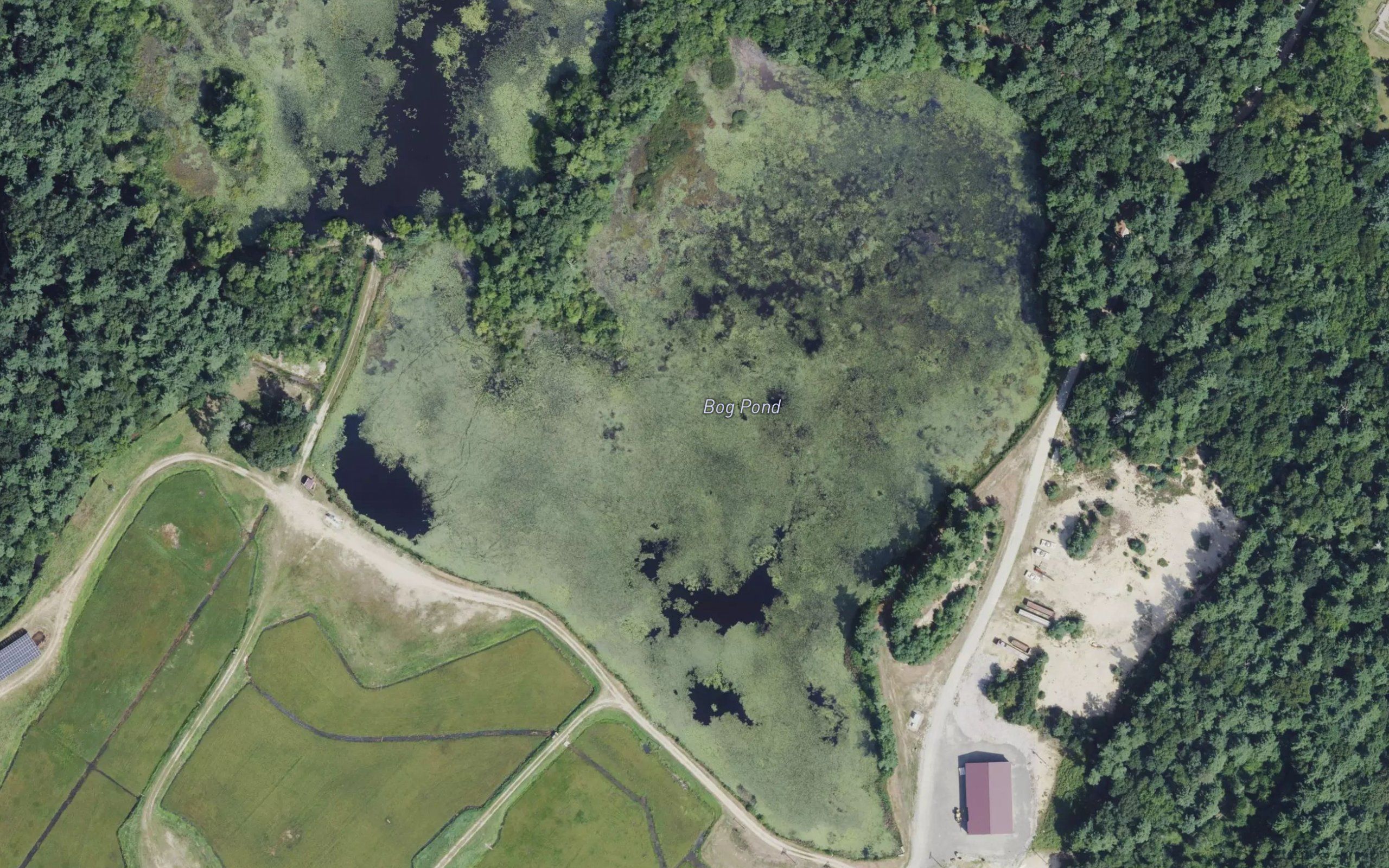 Bog Pond