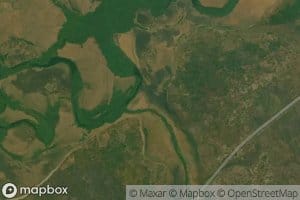 Luambo