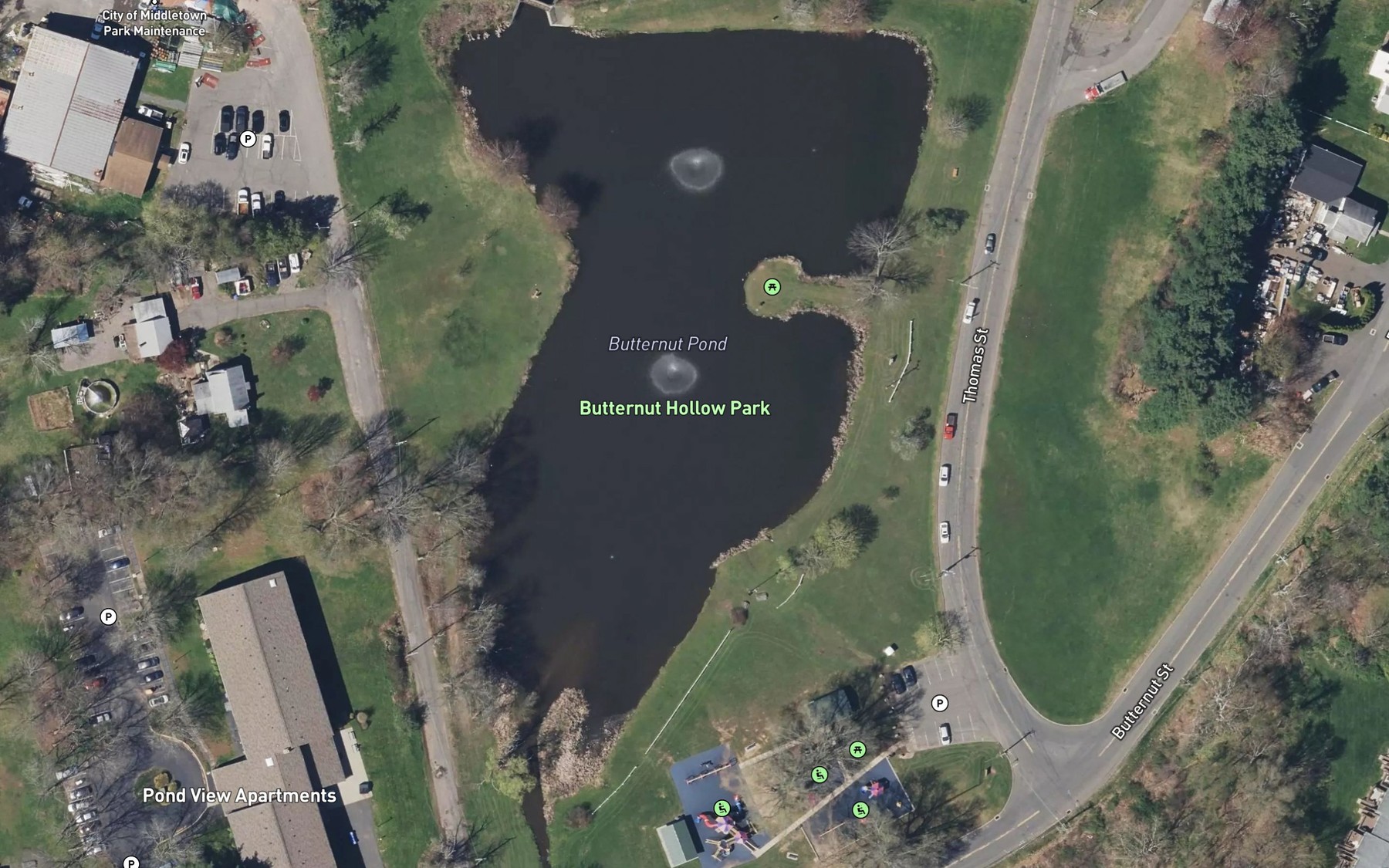 Satellite map of the Butternut Pond
