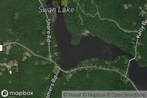 Swan Lake