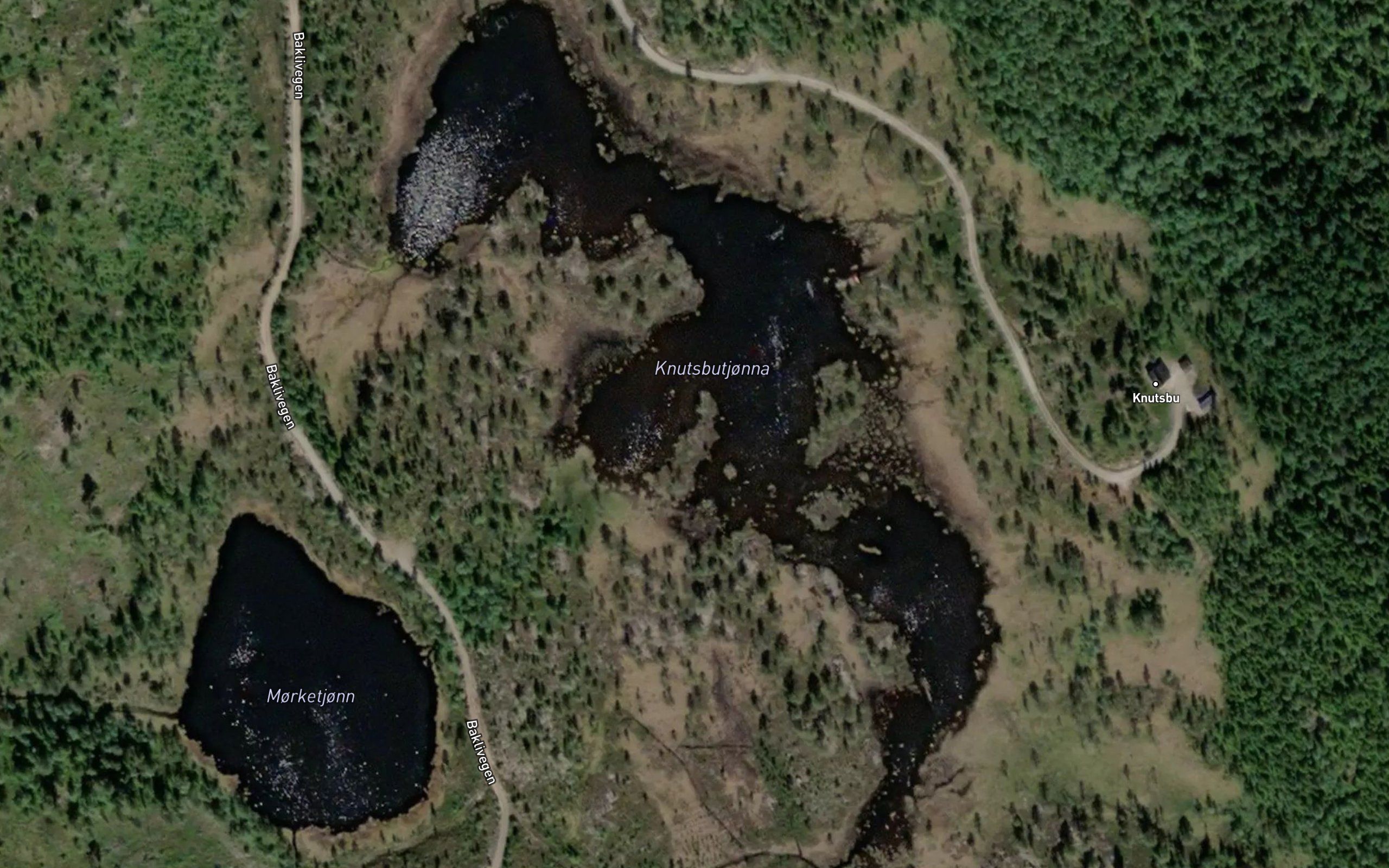 Knutsbutjornane