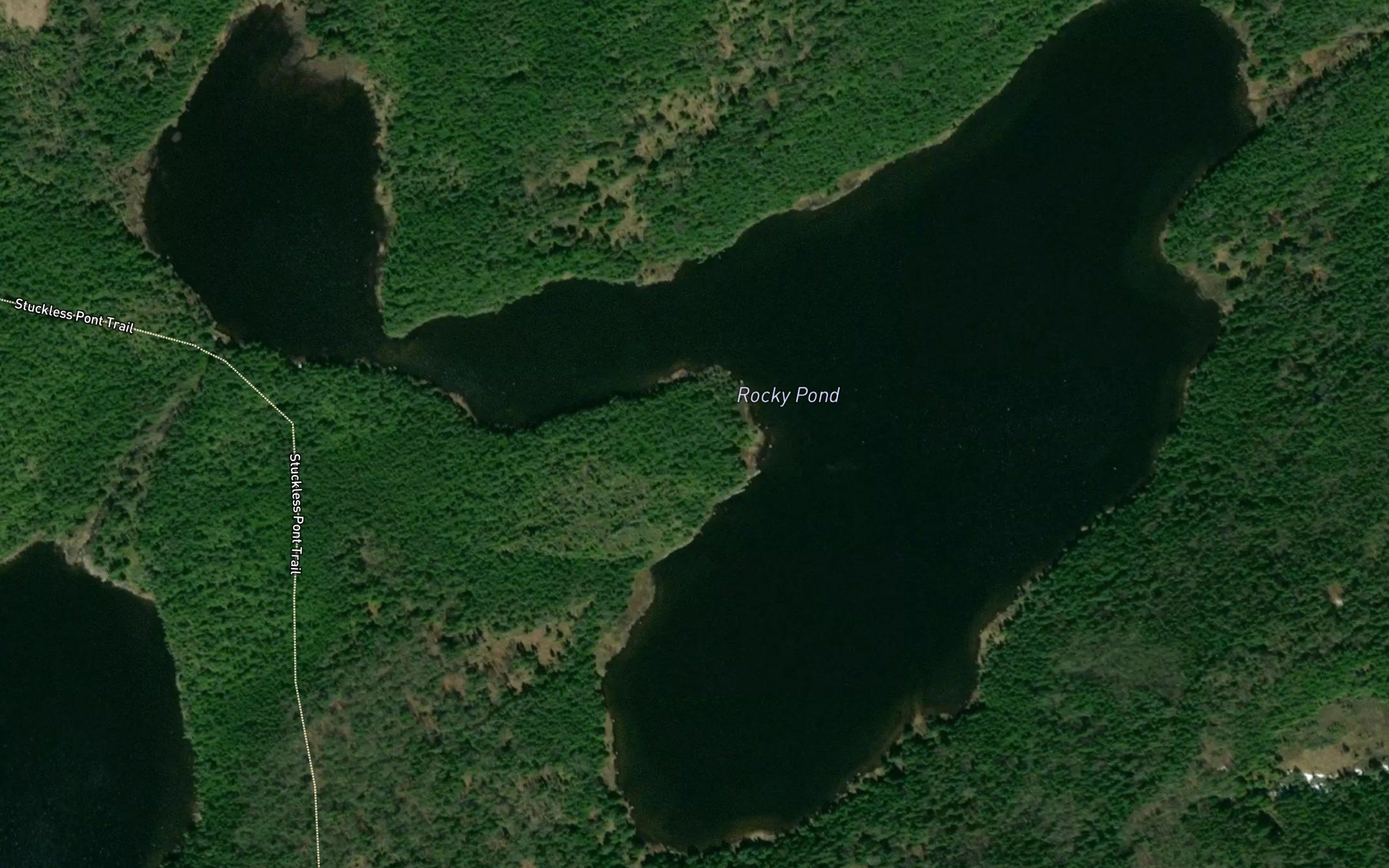 Rocky Pond