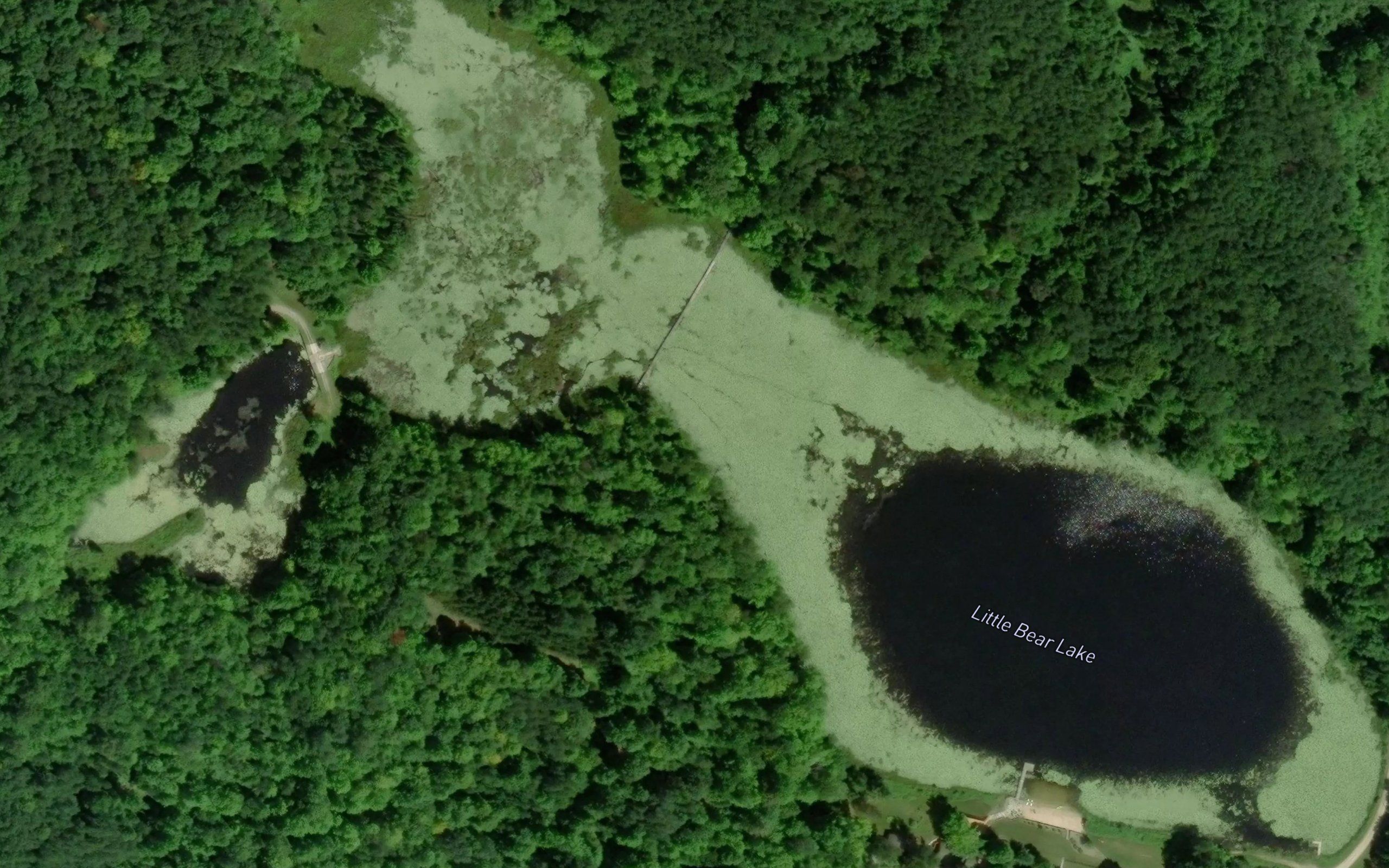 Little Bear Lake