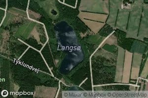 Grane Langso