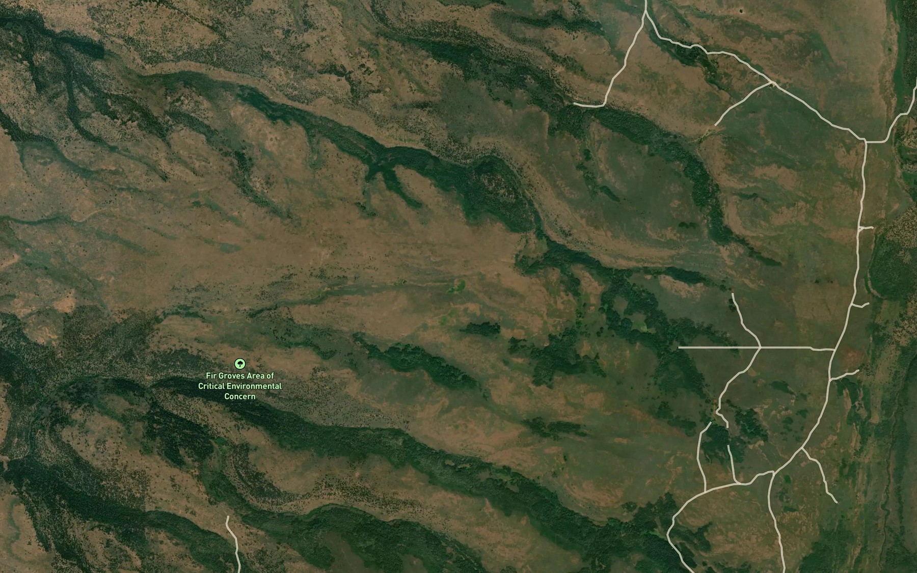 Satellite map of the Big Spring