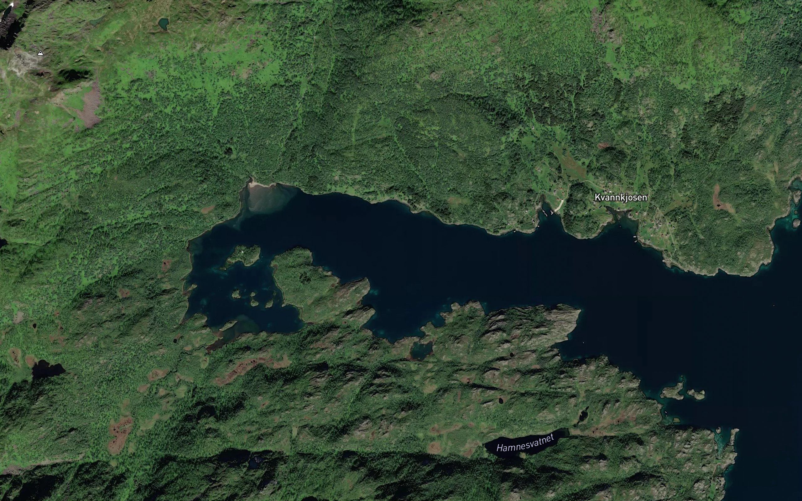 Kvannkjosen