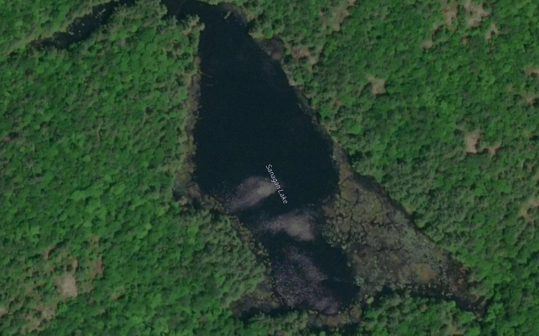 Satellite map of the Sanagan Lake