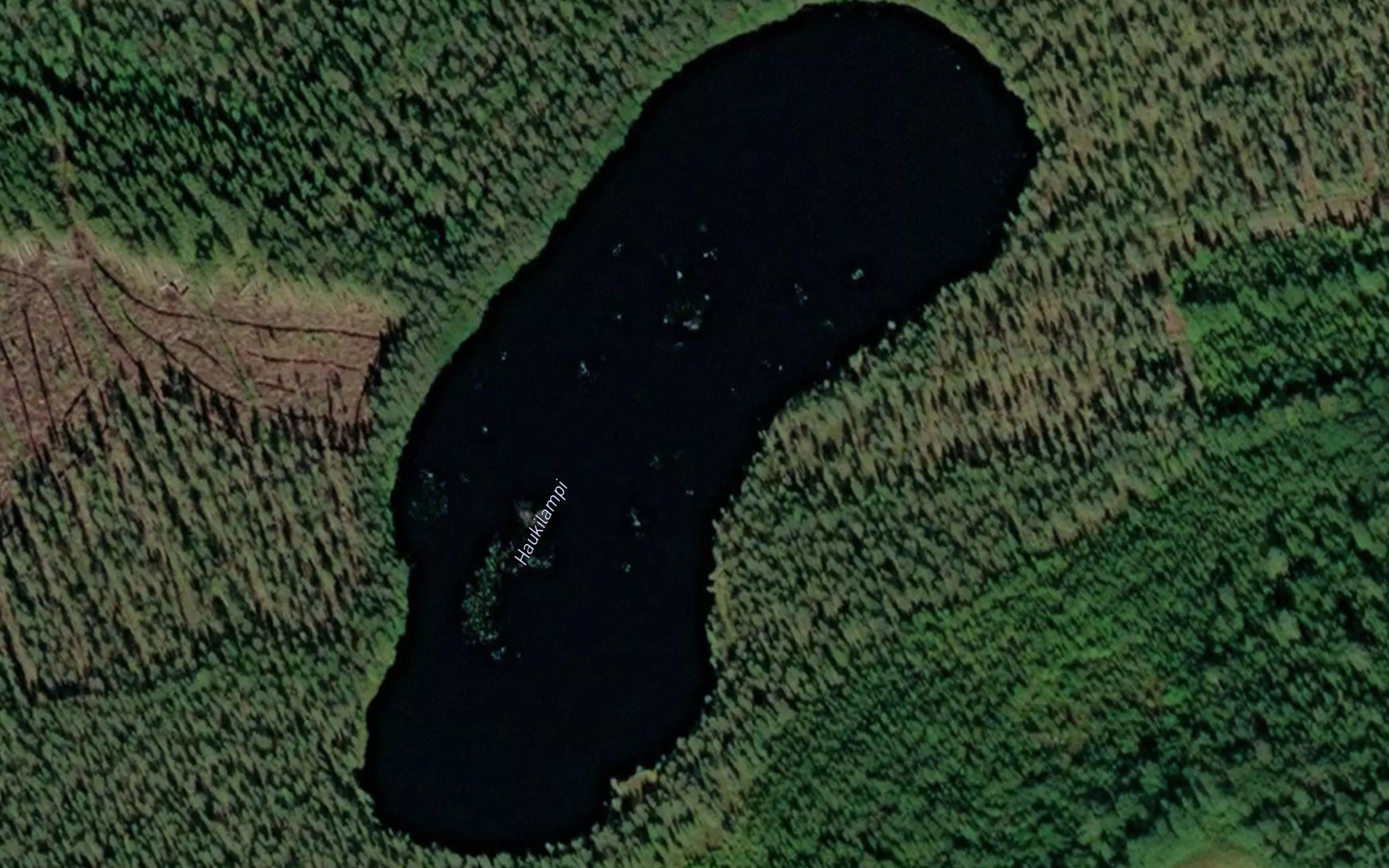 Haukilampi