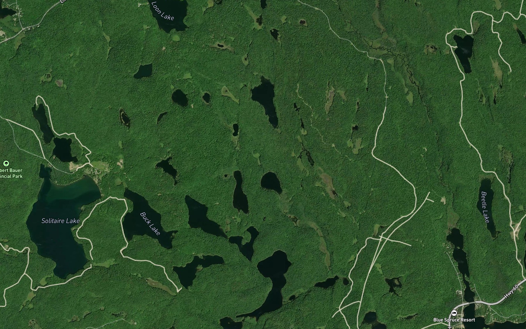 Satellite map of the Spaniel Creek