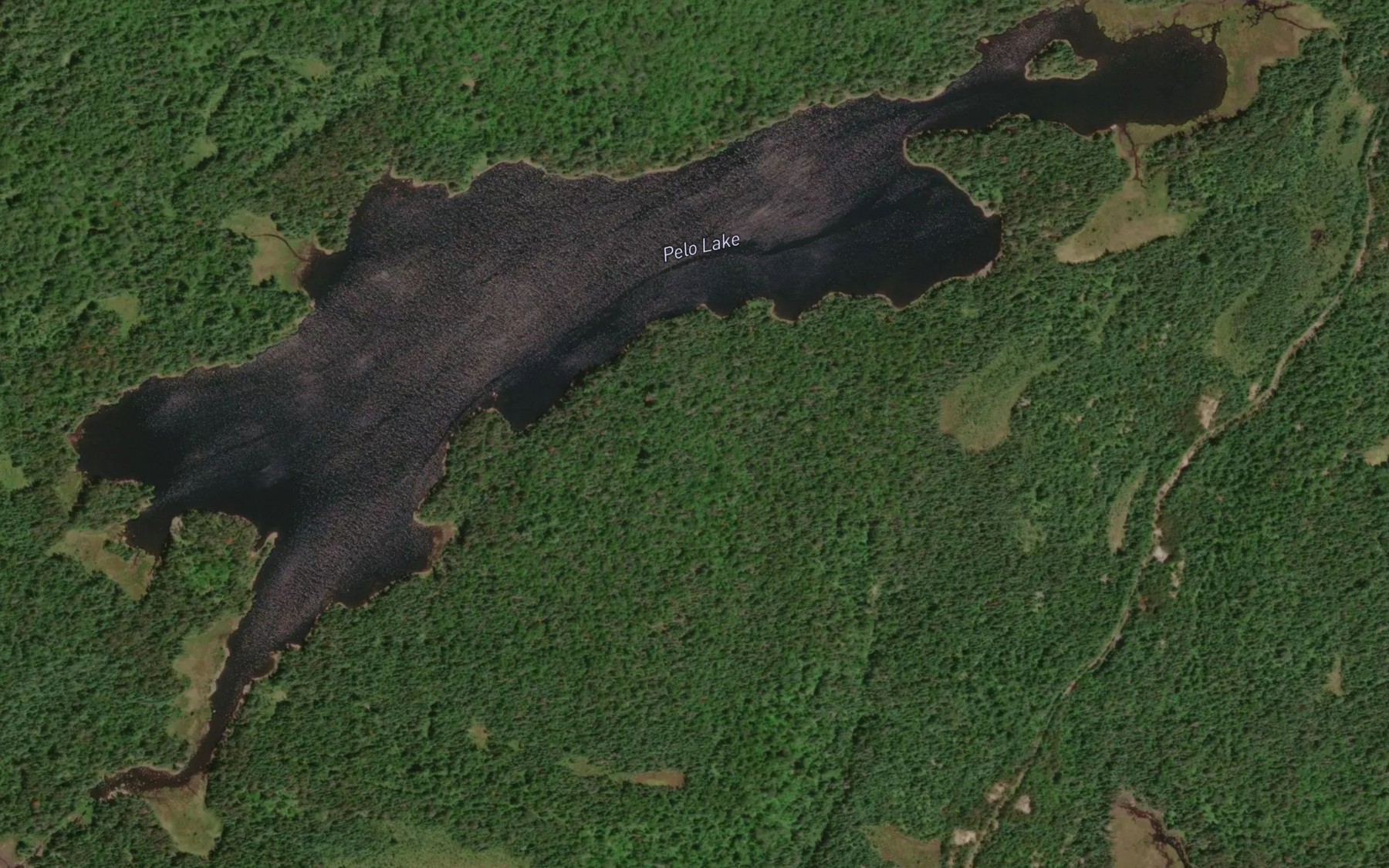 Satellite map of the Pelo Lake