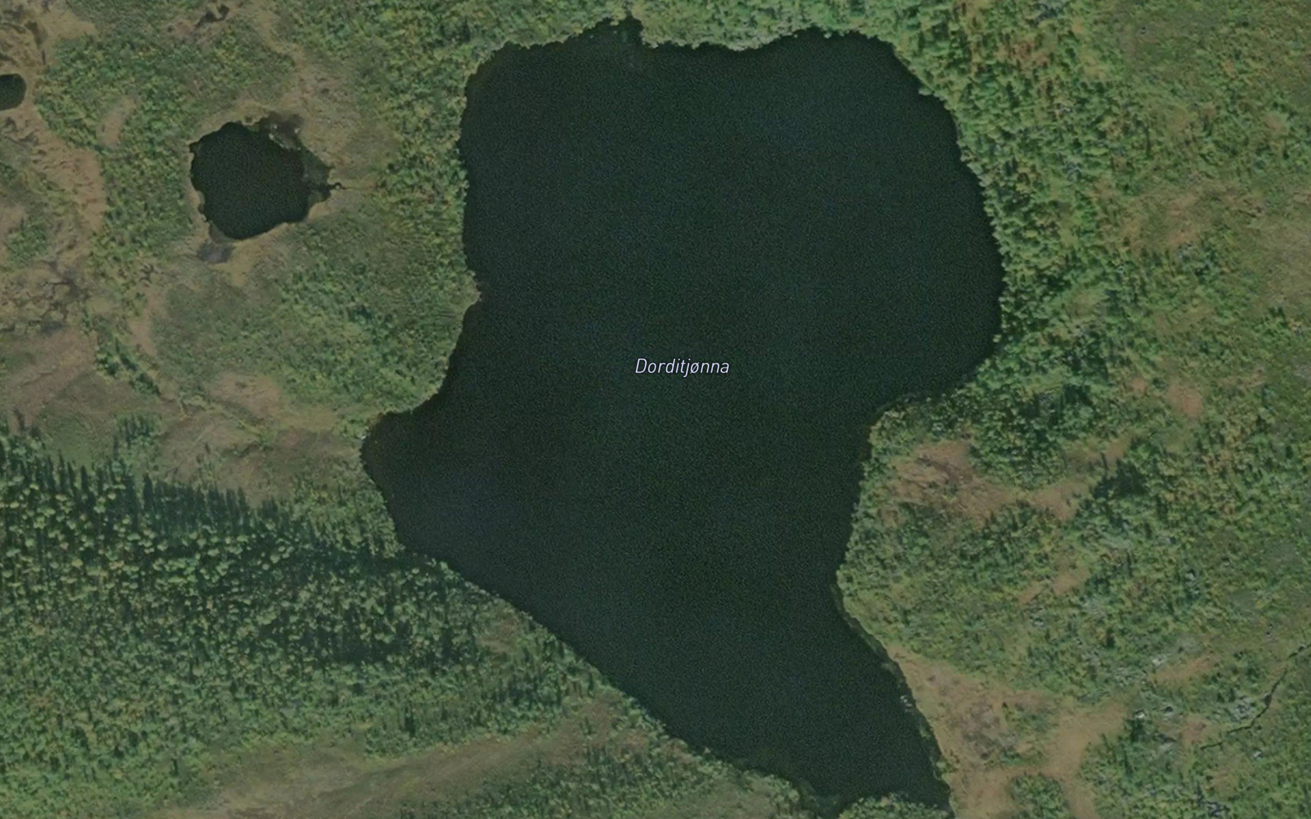 Dorditjorna