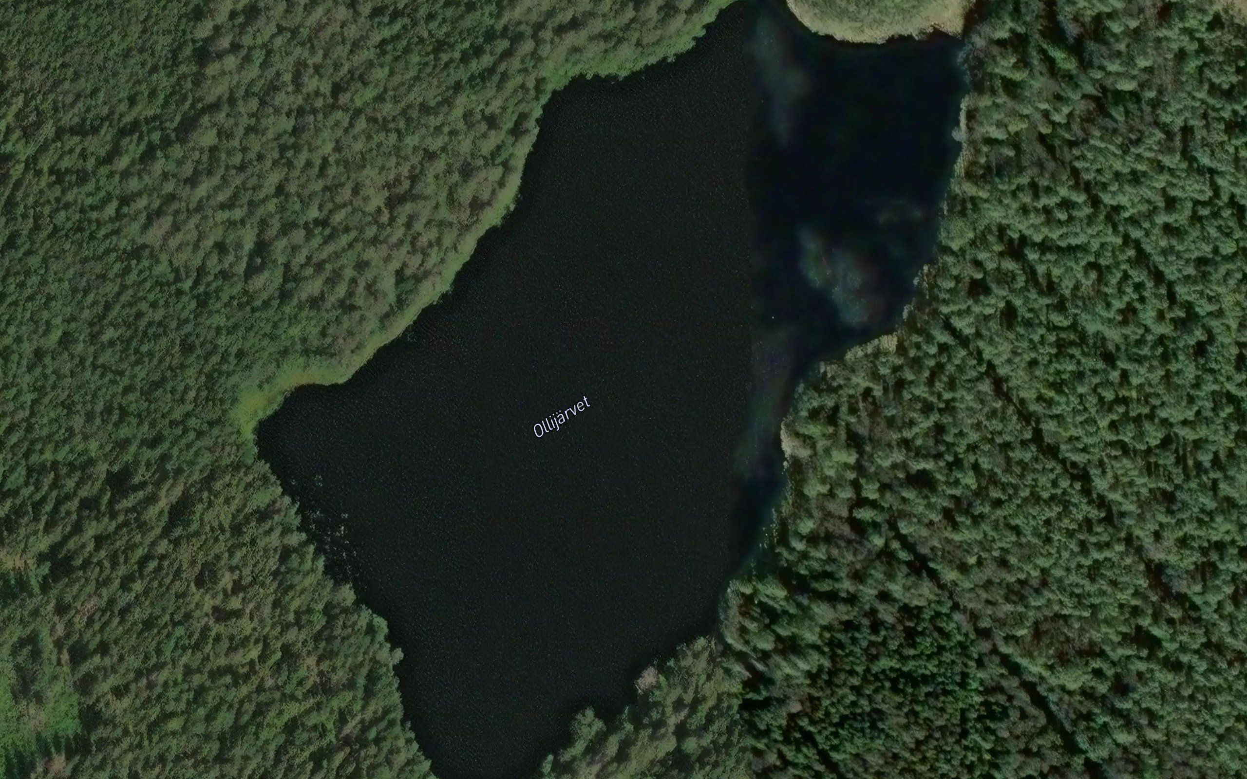 Ollijarvet