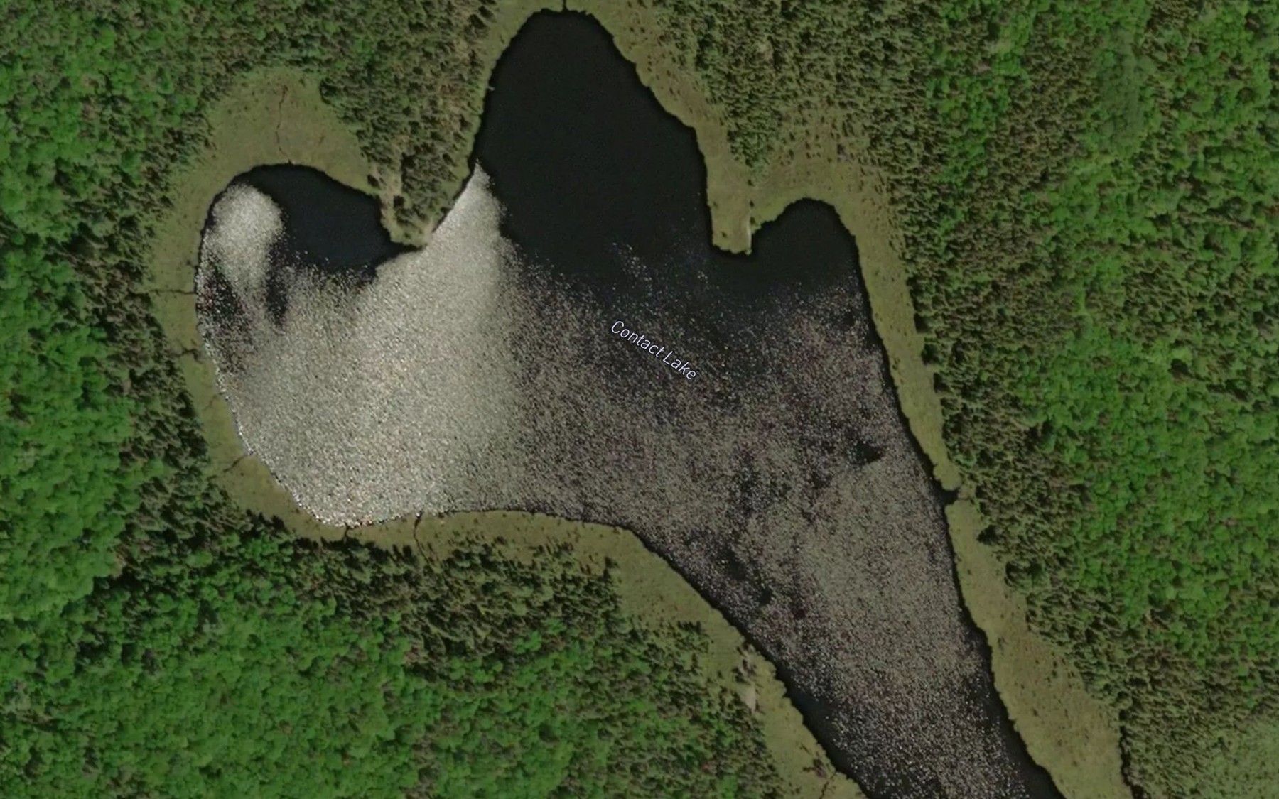Satellite map of the Contact Lake