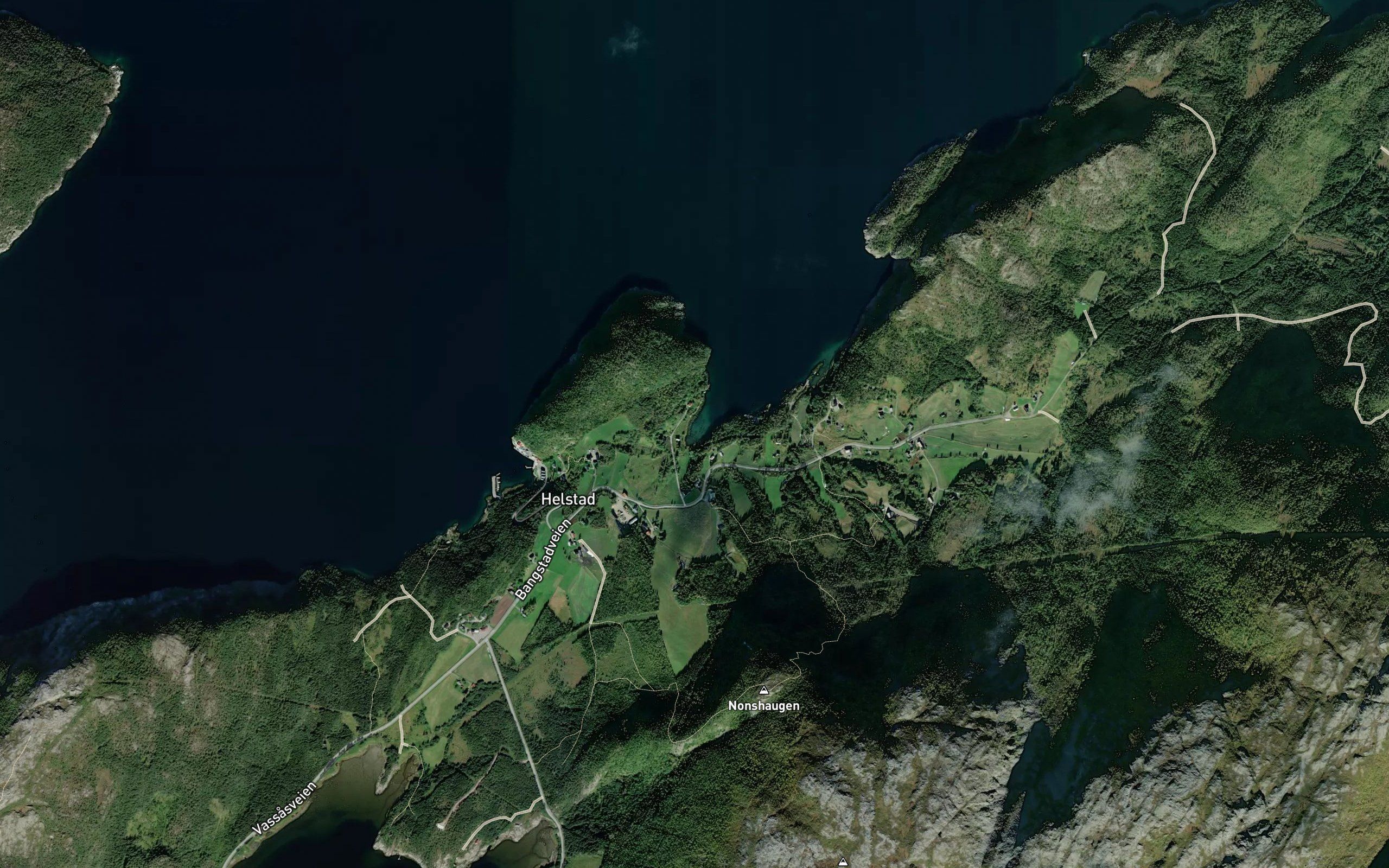 Aunevika