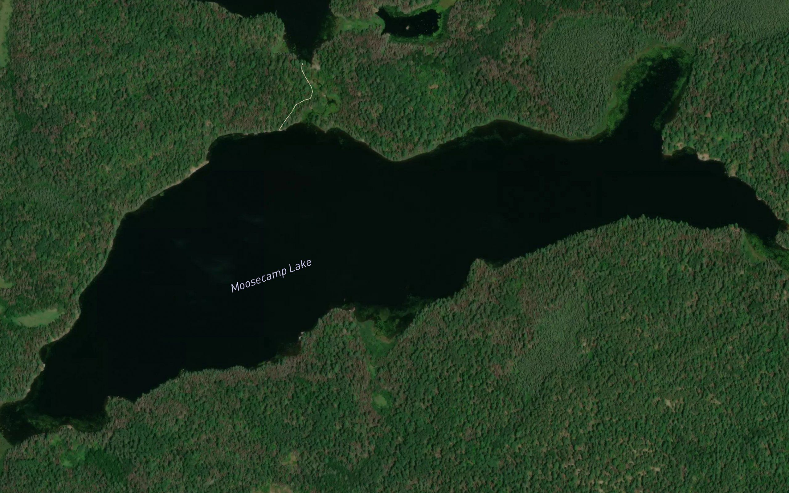 Moosecamp Lake