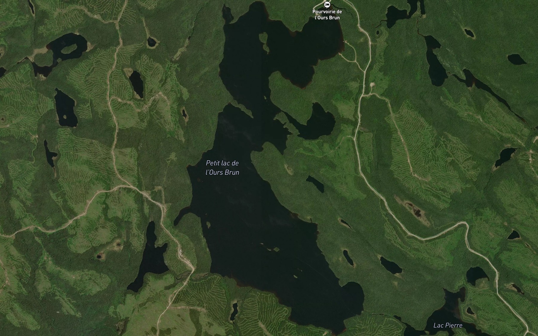 Satellite map of the Petit lac de l'Ours Brun
