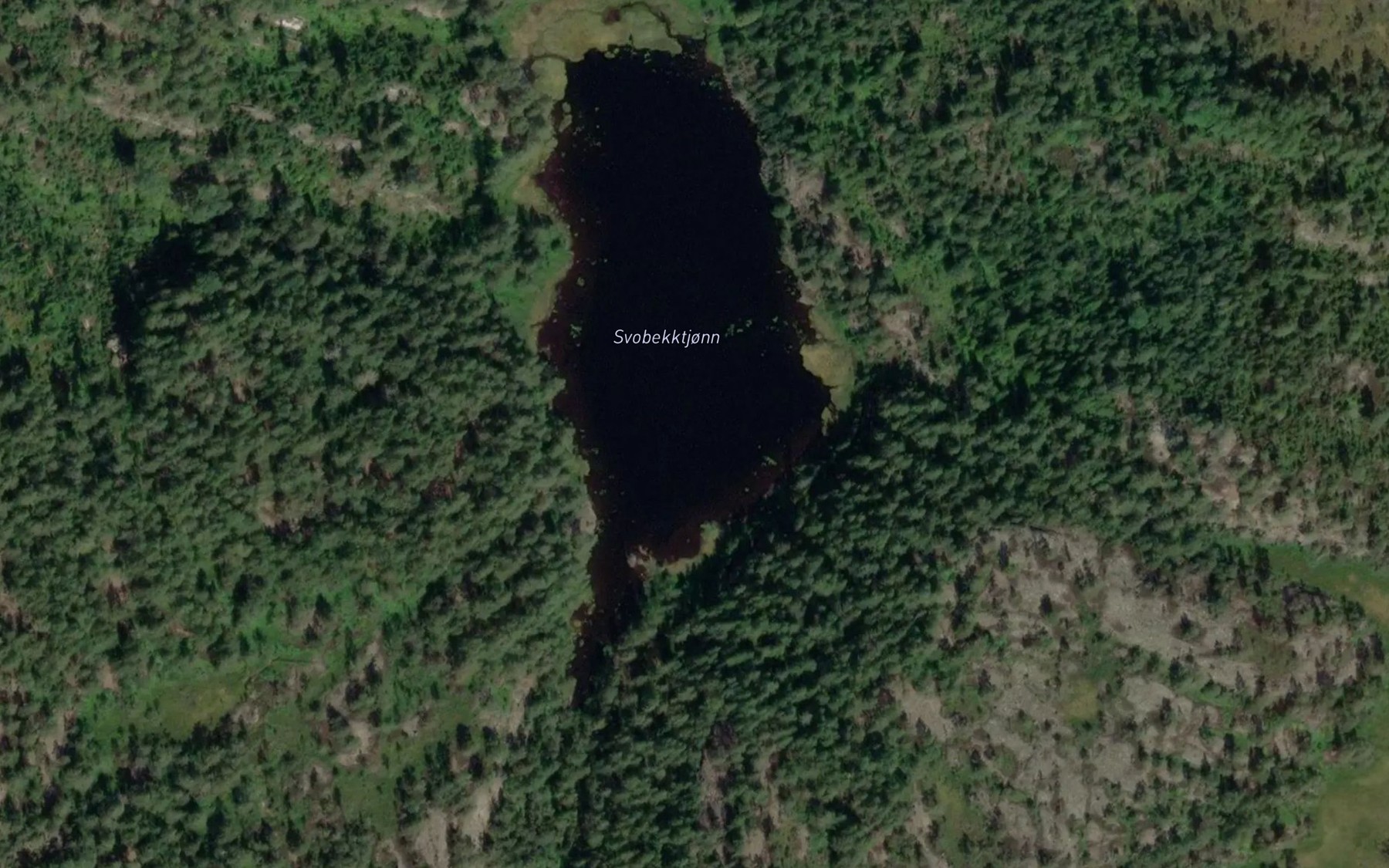 Satellite map of the Svobekktjonn