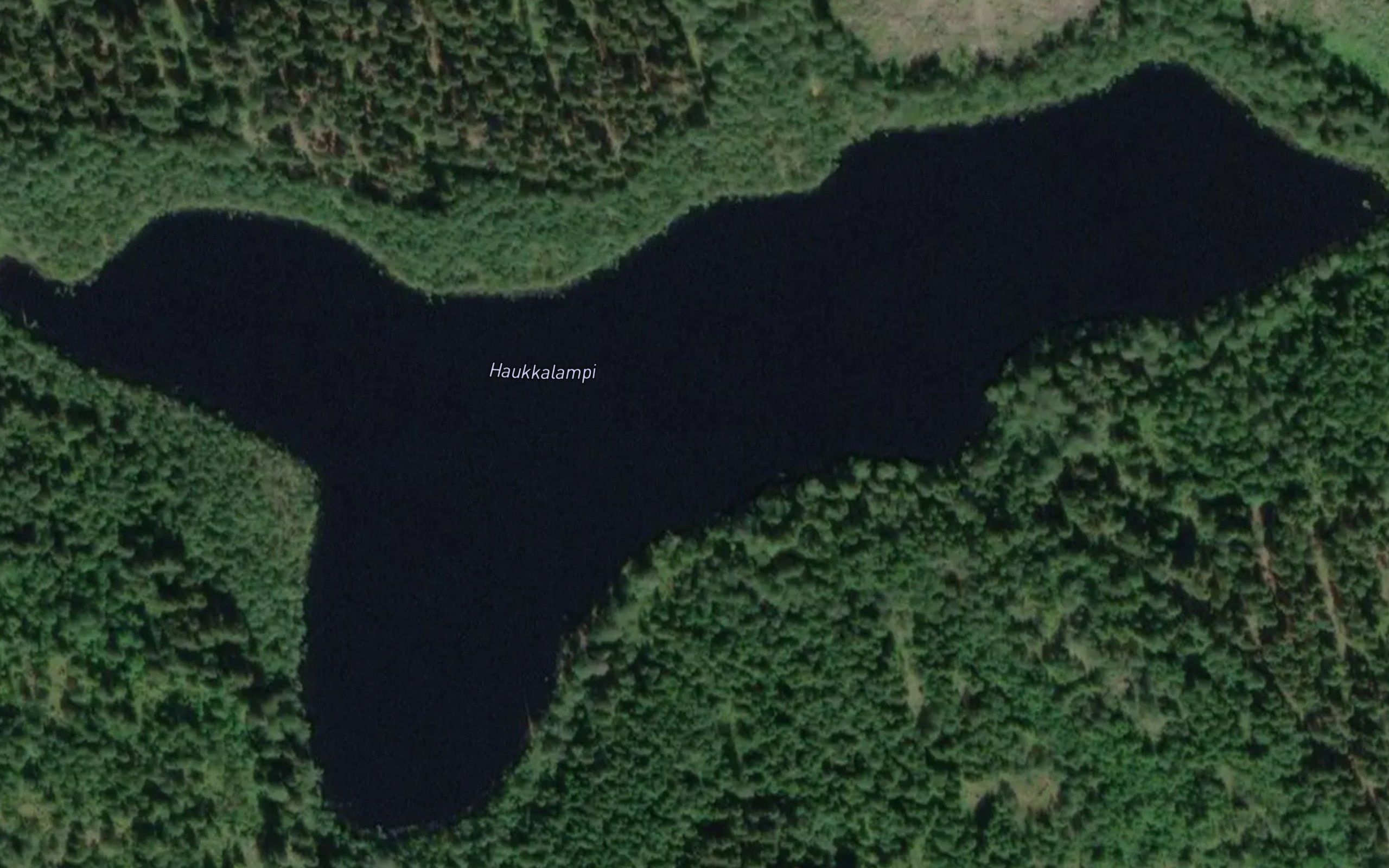 Haukkalampi