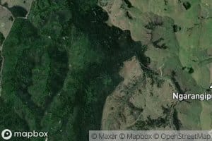Ngautorotoro Stream