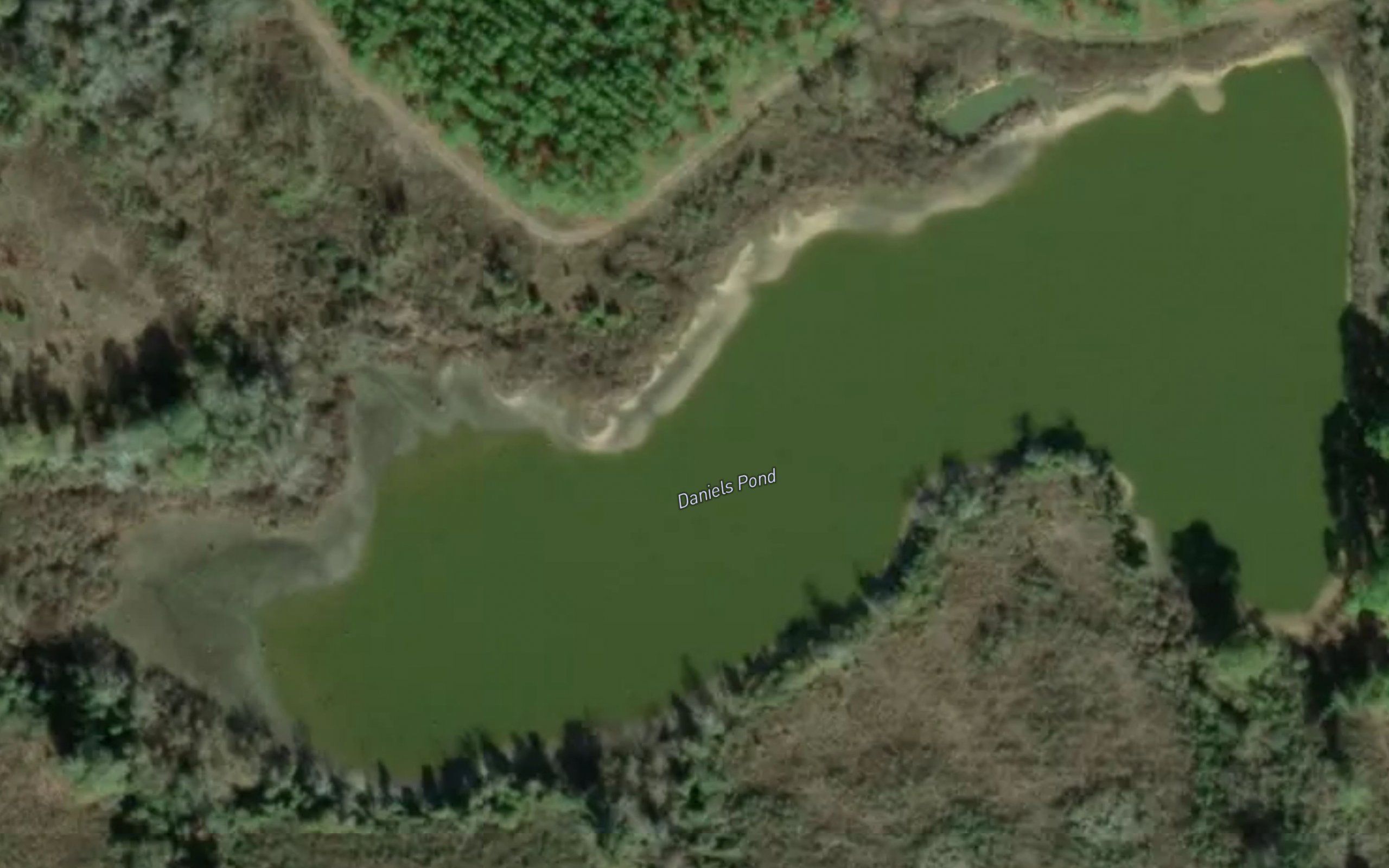Daniels Pond