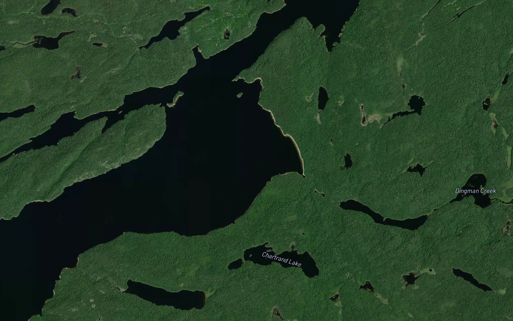 Satellite map of the Dingman Creek