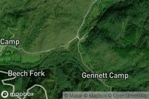 Stony Fork