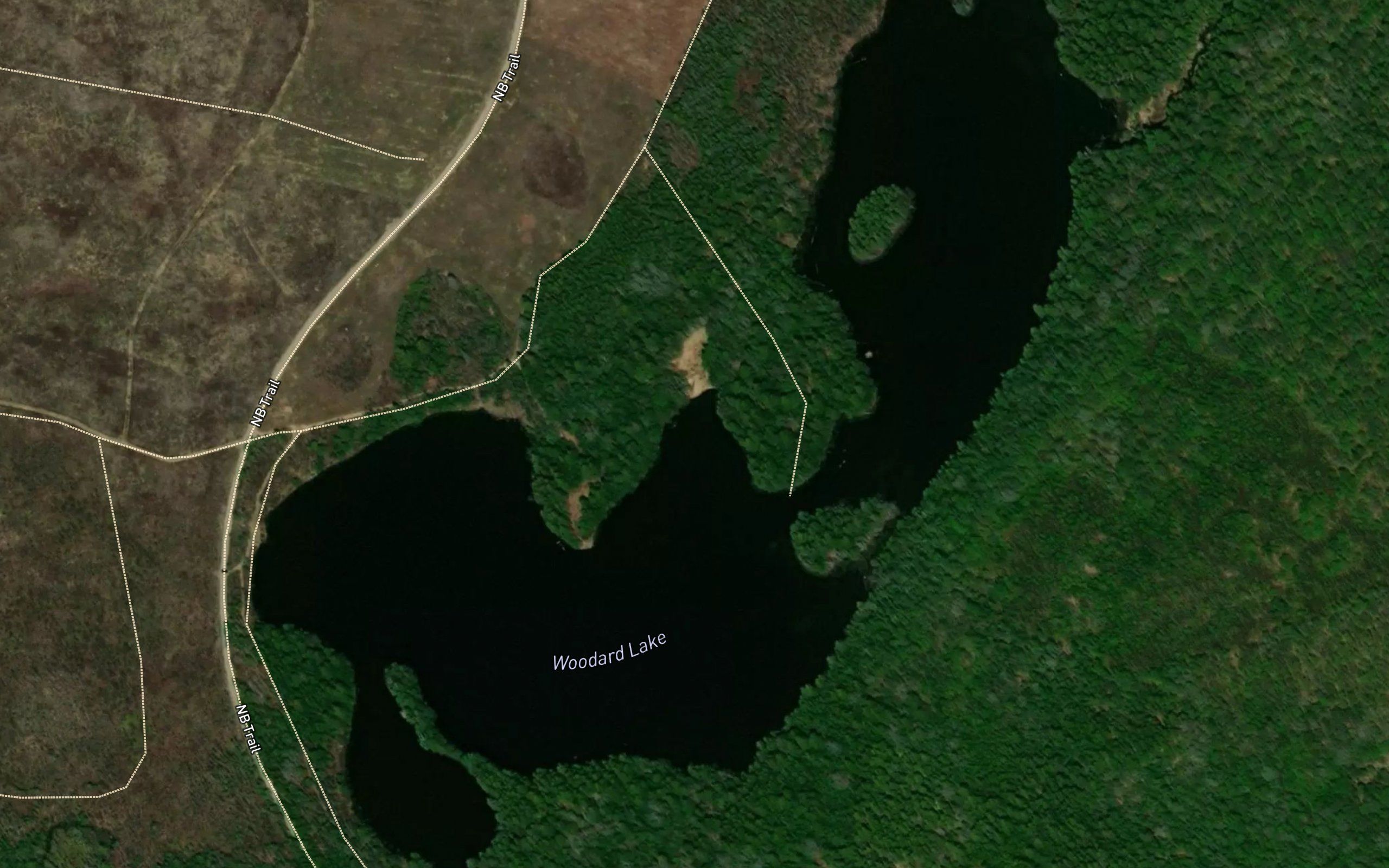 Woodard Lake