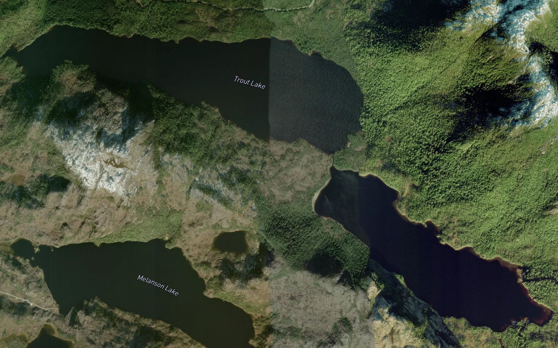 Satellite map of the Trout Lake