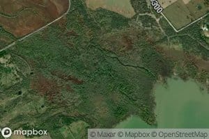 Hackberry Creek