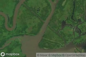 Chicken Island Bayou