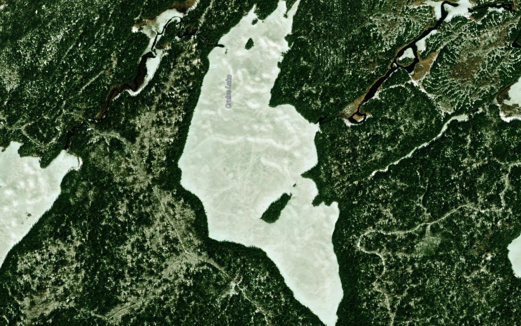 Satellite map of the Cruise Lake