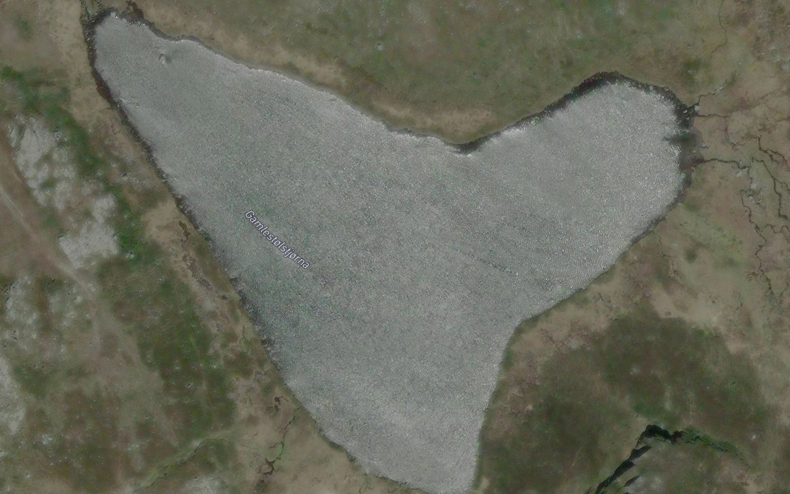 Gamlestolstjorna