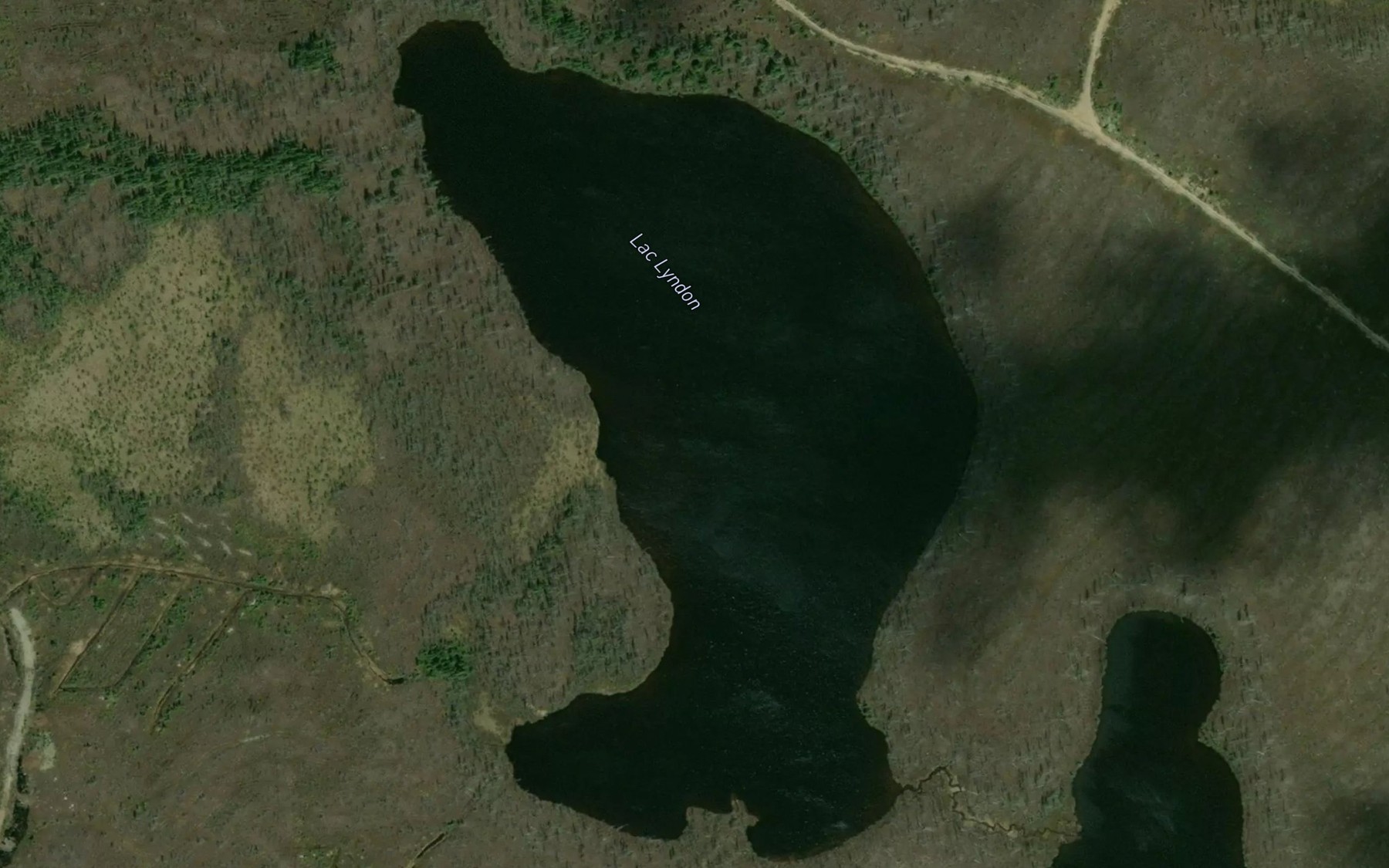 Satellite map of the Lac Lyndon
